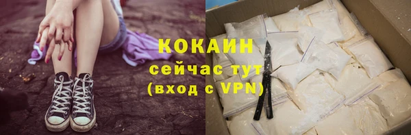ECSTASY Кукмор