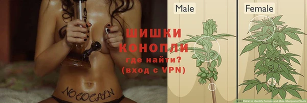 первитин Ладушкин