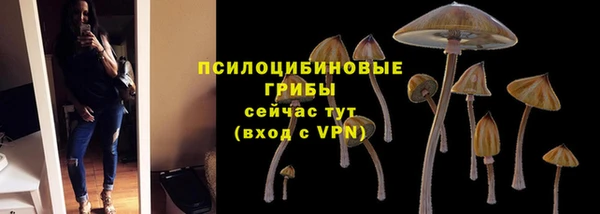 ECSTASY Кукмор