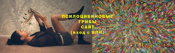 первитин Ладушкин