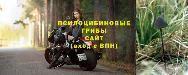 ECSTASY Кукмор