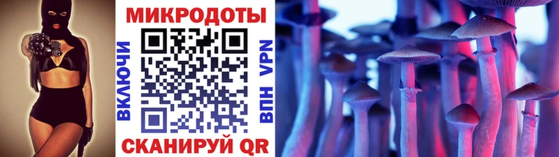 Галлюциногенные грибы прущие грибы Лахденпохья